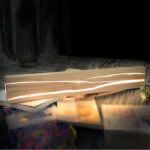 Applique murale LED rotative en bois massif - vue de face