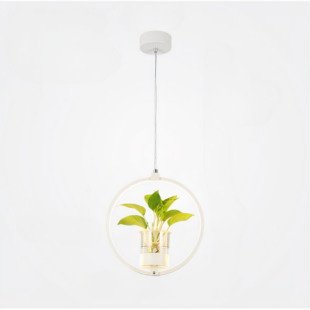 Lampe LED cercle blanc, suspendue, avec vase et plante dans le cercle lumineux. Sur un fond blanc.