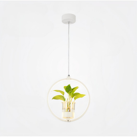 Lampe LED cercle blanc, suspendue, avec vase et plante dans le cercle lumineux. Sur un fond blanc.