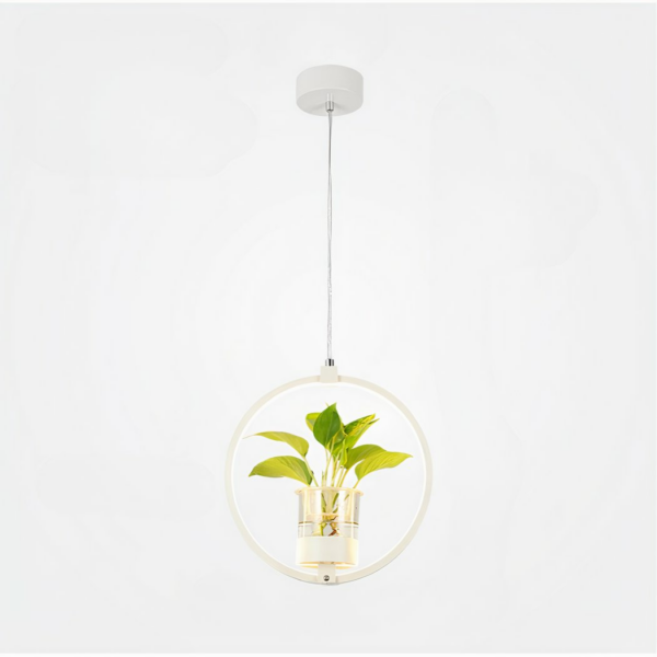 Lampe LED cercle blanc, suspendue, avec vase et plante dans le cercle lumineux. Sur un fond blanc.
