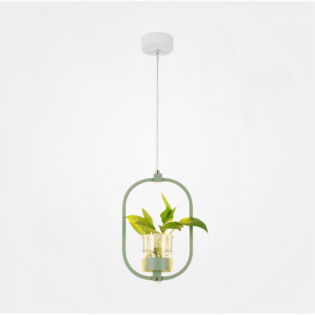 Suspension plante avec lampe ovale LED et vase suspension plante avec lampe ovale led et vase 3