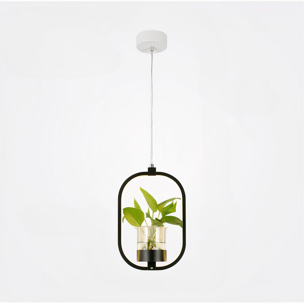Suspension plante avec lampe ovale LED et vase suspension plante avec lampe ovale led et vase 5