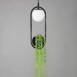 Lampe plafonnier, suspendue avec une boule blanche en haut, une boule noire en bas, dans laquelle se trouve une fausse plante verte tombante. Les deux boules entourées par une tige noire qui les relie. Sur un fond gris.