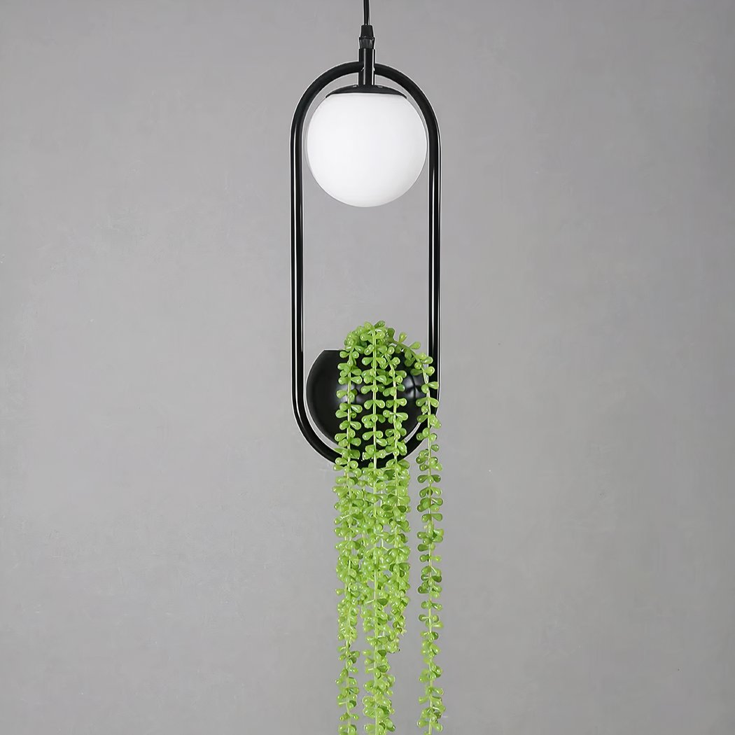 Lampe plafonnier, suspendue avec une boule blanche en haut, une boule noire en bas, dans laquelle se trouve une fausse plante verte tombante. Les deux boules entourées par une tige noire qui les relie. Sur un fond gris.