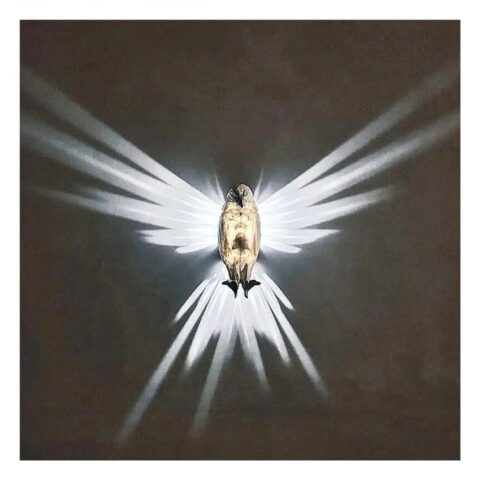on voit sur un fond noir une applique murale allumée qui fait des ailes d'oiseaux sur les murs avec sa lumière