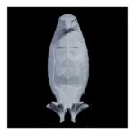 Applique murale en forme d'oiseau en 3D - ambiance allumée